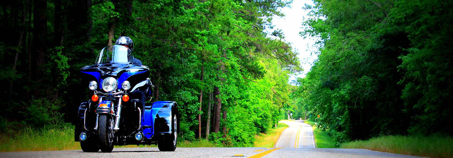 Request your free Motor Trike brochure today!