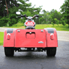 Photo of GTX-Sportster IRS Motor Trike Conversion