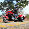 Photo of Raptor IRS Motor Trike Conversion